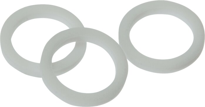 Exemplary representation: PTFE sealing rings